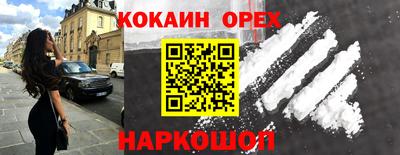 тгк Гай