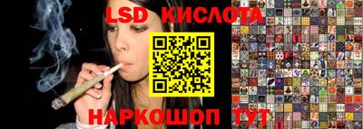 тгк Гай