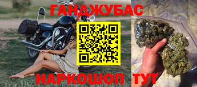тгк Гай